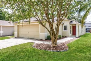 11813 Prickly Pear Way, SEFFNER