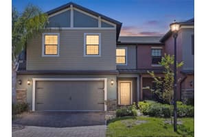 17337 Old Tobacco Rd, LUTZ