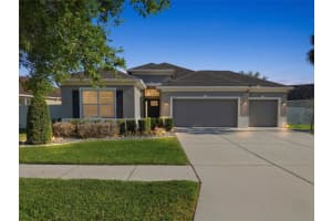 11133 Wembley Landing Dr, LITHIA 11133 Wembley Landing Dr, LITHIA