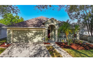 9830 White Barn Way, RIVERVIEW 9830 White Barn Way, RIVERVIEW