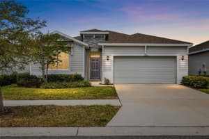 13204 Waterleaf Garden Cir, RIVERVIEW