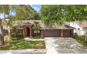 931 Balsamina Dr, BRANDON