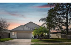 7655 Citrus Blossom Dr, LAND O LAKES 7655 Citrus Blossom Dr, LAND O LAKES