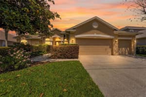 5925 Jefferson Park Dr, TAMPA