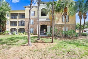 2407 Courtney Meadows Ct #303, TAMPA