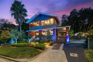 1035 E Robson St, TAMPA