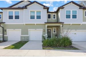 13755 Big Hawk Way, LITHIA