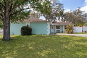 502 Avocado Cir, BRANDON