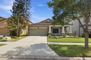 11623 Palmetto Pine St, RIVERVIEW