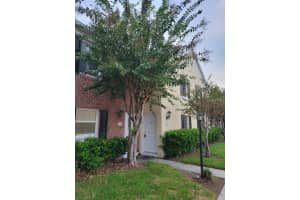 13698 Orange Sunset Dr, TAMPA