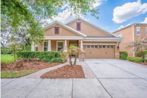 15721 Oakleaf Run Dr, LITHIA