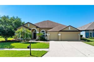 22810 Collridge Dr, LAND O LAKES 22810 Collridge Dr, LAND O LAKES