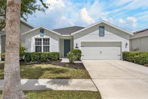 11113 Spring Point Cir, RIVERVIEW