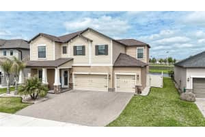 8099 Lago Mist Way, WESLEY CHAPEL