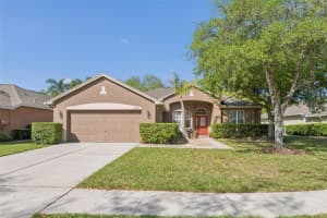 18108 Kennesaw Ct, TAMPA
