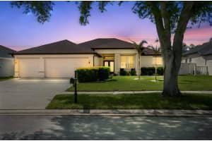 2814 Duncan Tree Cir, VALRICO