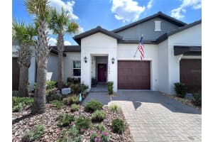 16964 Forge Surf St, LAND O LAKES