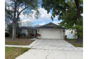 8753 Hampden Dr, TAMPA