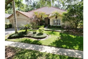 17803 Hickory Moss Pl, TAMPA