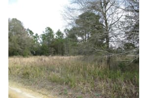 Sw 24th, OCALA Sw 24th, OCALA