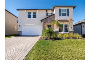 18255 Serene Lake Loop, LUTZ