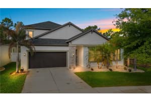 11814 Cross Vine Dr, RIVERVIEW