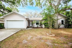27 Summit Ln, SAFETY HARBOR