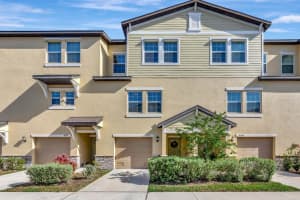 4551 Tuscan Loon Dr, TAMPA