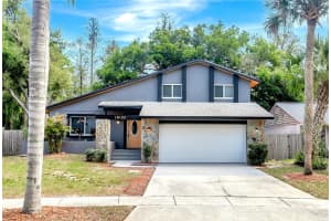 16133 Ravendale Dr, TAMPA