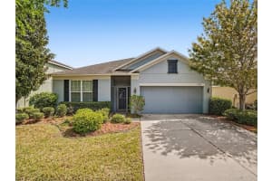 10346 Celtic Ash Dr, RUSKIN