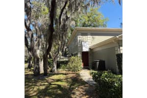6206 Greenleaf Ln, TAMPA
