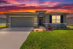 10378 Gliding Eagle Way, LAND O LAKES