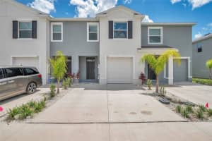 1347 Colt Creek Pl, WESLEY CHAPEL