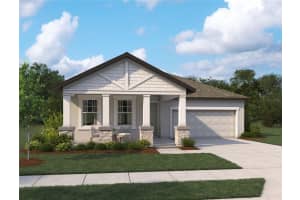 5932 Fresh Flora Drive, WIMAUMA