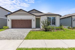6703 Michael Favor Way, WESLEY CHAPEL 6703 Michael Favor Way, WESLEY CHAPEL