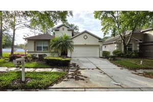 10906 Tree Cactus Loop, LAND O LAKES