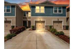 5845 Grand Sonata, TAMPA
