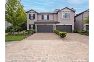 5134 San Martino Drive, WESLEY CHAPEL 5134 San Martino Drive, WESLEY CHAPEL