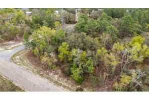 1877 W Pendleton St, DUNNELLON
