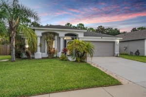 13221 Evening Sunset Ln, RIVERVIEW