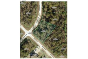 16008 Cave Swallow Rd, BROOKSVILLE