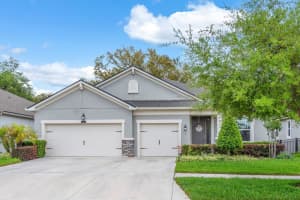 11404 Blue Woods Dr, RIVERVIEW