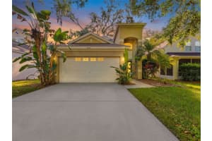 15123 Deer Meadow Dr, LUTZ