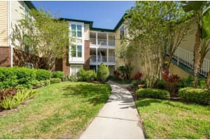 4107 Chatham Oak Ct #326, TAMPA
