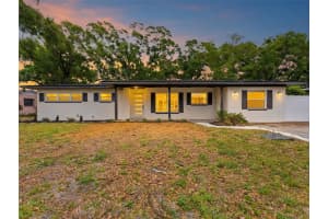 1714 W Saint Isabel St, TAMPA