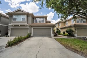 3304 Covered Bridge Dr E, DUNEDIN