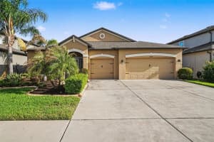 11428 Carlton Fields Dr, RIVERVIEW
