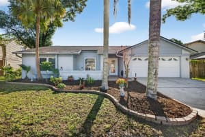 12913 Rain Forest St, TEMPLE TERRACE