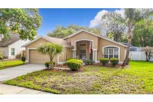 2631 Green Valley St, VALRICO