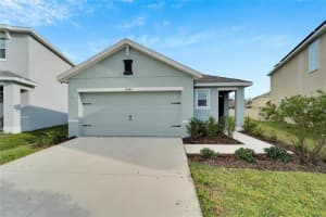 17040 Wave Tressle Pl, WIMAUMA